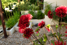 SantaAnaWeb_0007_DSCF0060