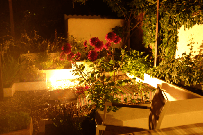 SantaAnaWeb_0008_DSCF0095