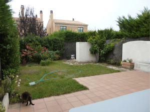 SantaAnaWeb_0012_P1080941