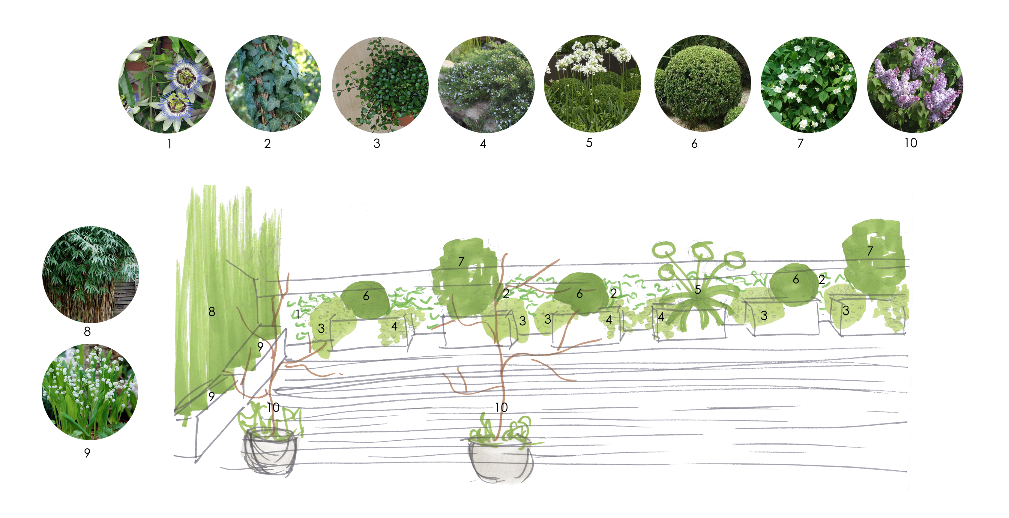 Terraza Marta_marzo2016